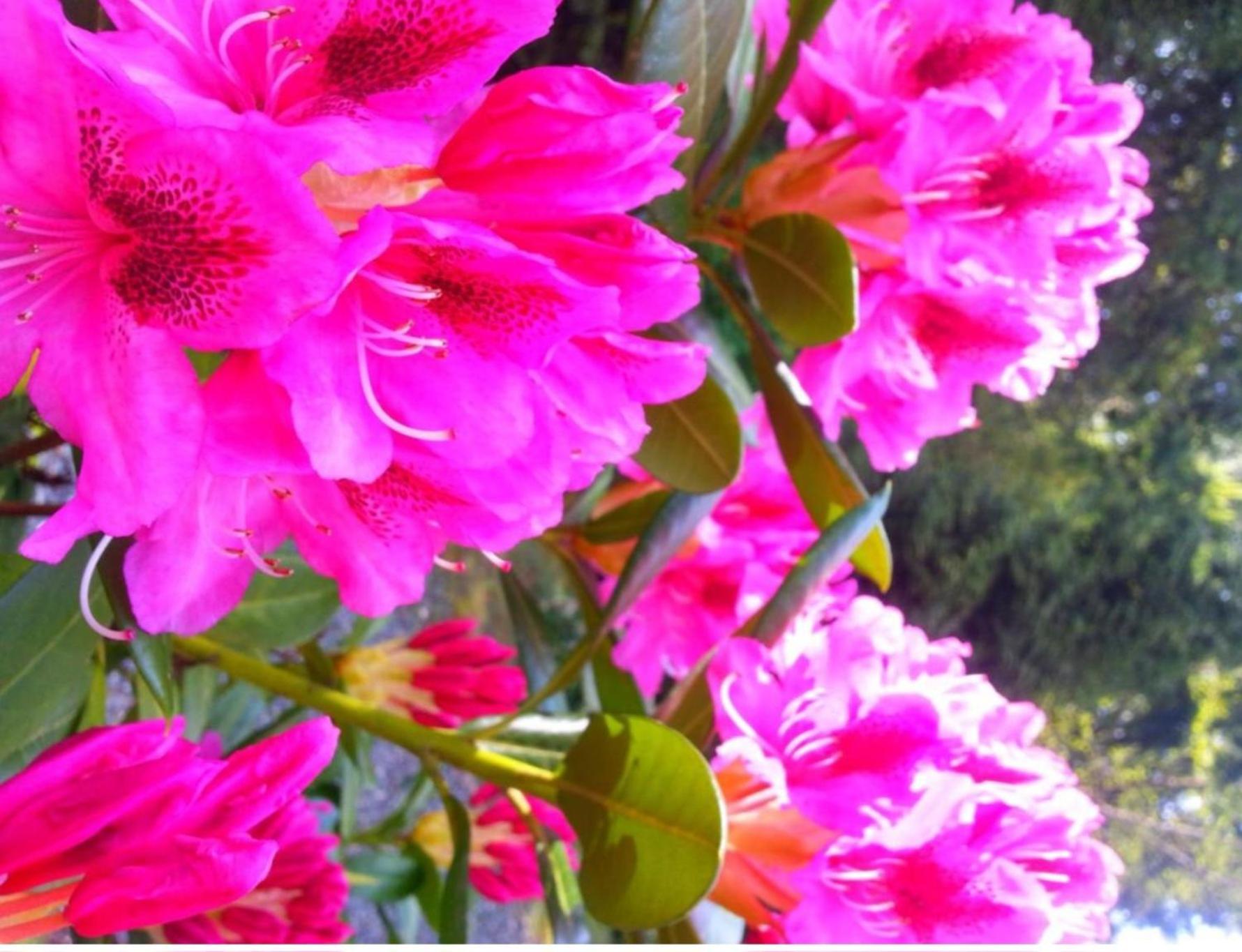 סארי Empress Madani Palace Hotel מראה חיצוני תמונה