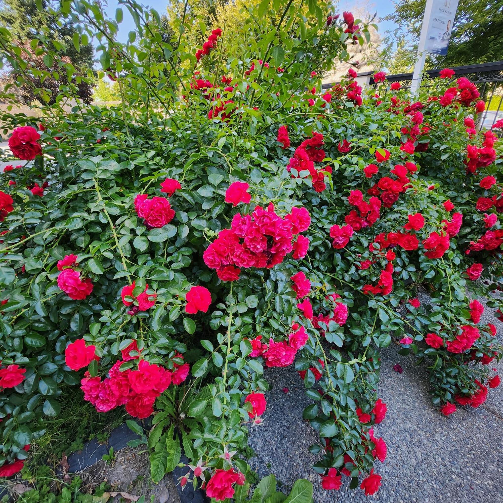 סארי Empress Madani Palace Hotel מראה חיצוני תמונה